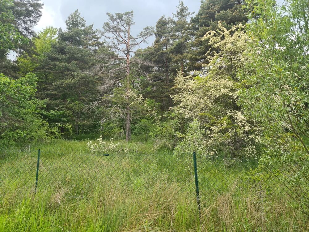 Vente Terrain THORENC : Terrain à vendre  1 896 m² de nature Andon