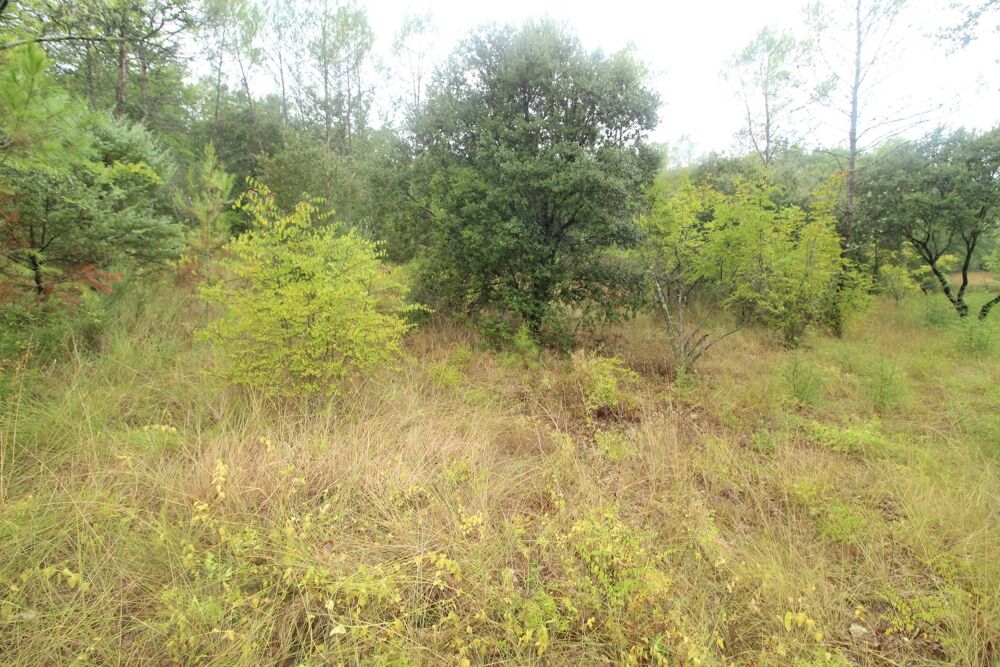 Vente Terrain beau terrain non constructible Les arcs