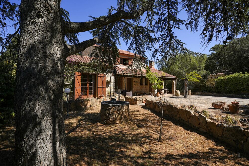 Charmante maison en pierre - Sartène