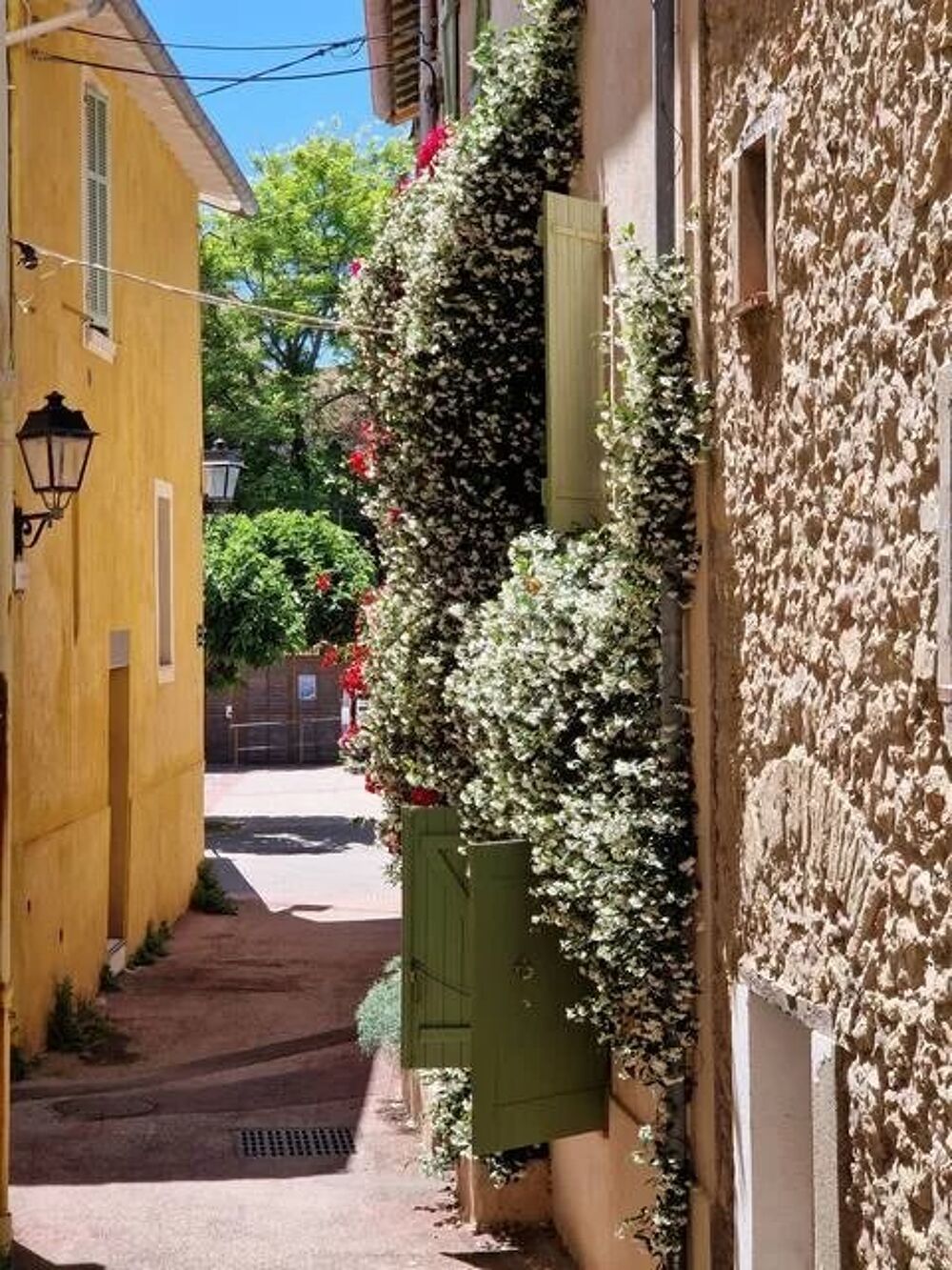 Vente Maison Vieil Antibes - Ensemble immobilier entièrement rénové Antibes
