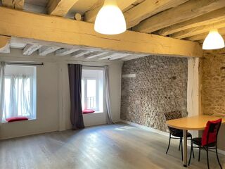 Location Appartement STUDIO - ORLÉANS CENTRE VILLE Orléans