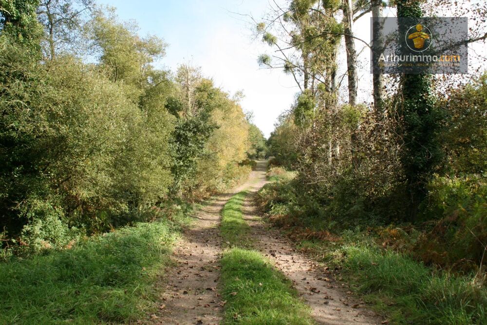 Vente Terrain GUEGON TERRAIN 10.3 HECTARES Gu�gon