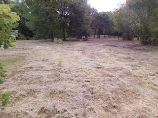  Terrain � vendre 4000 m� Theillay