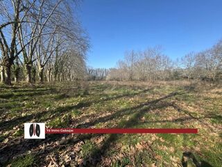 Vente Terrain Terrain Martillac