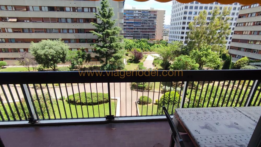 Vente Appartement Réf. annonce : 10 111 - VENTE A TERME OCCUPEE - MARSEILLE (13006 Marseille 6