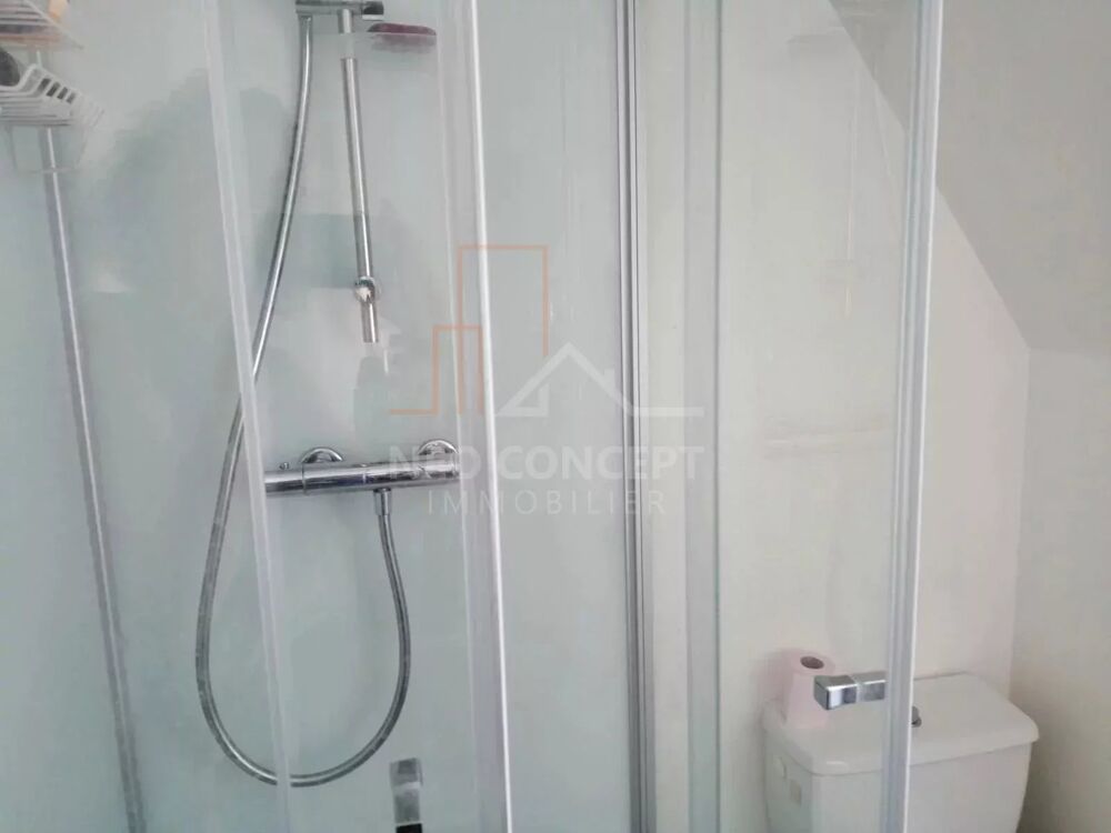 Location Appartement Meublé en hyper centre de Haguenau Haguenau
