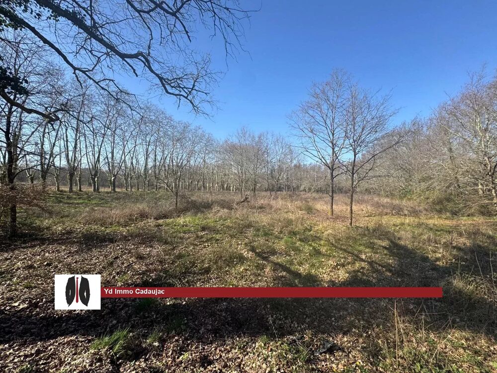 Vente Terrain Terrain Martillac