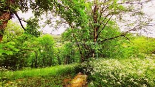  Maison � vendre 4 pi�ces 52 m�