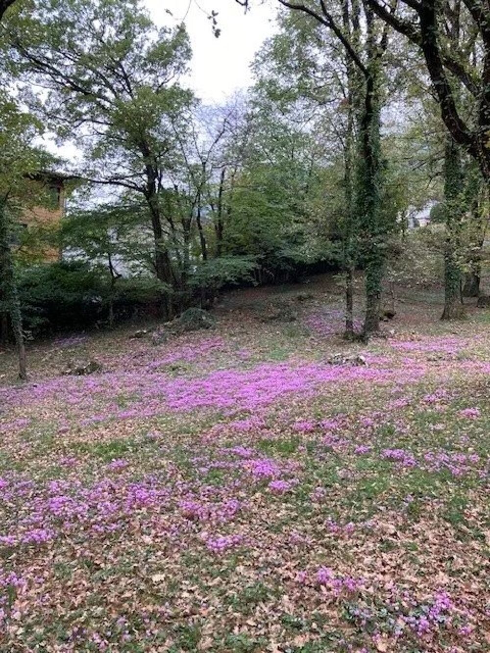 Vente Terrain VEUREY VOROIZE EXCLUSIVITE TERRAIN CONSTRUCTIBLE DE 2094M² Veurey-voroize