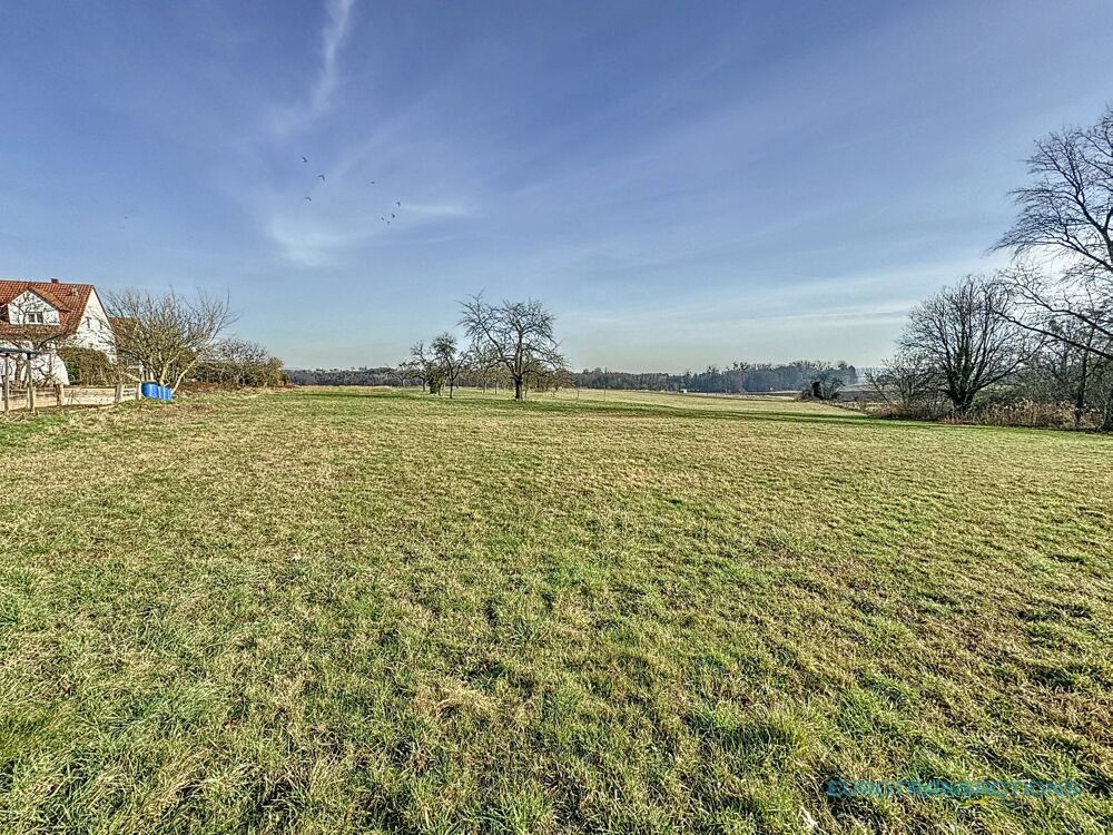 Vente Terrain LAUBACH, terrain  btir de 30.27 ares Laubach