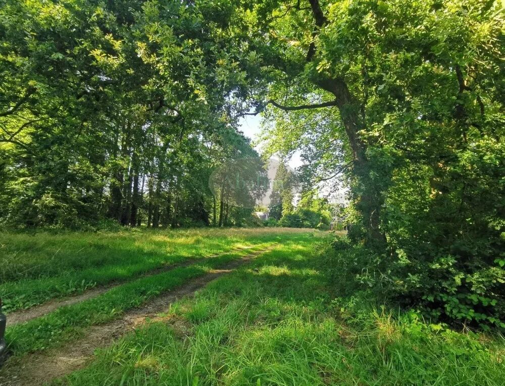  vendre  Proprit/chteau Le Mans (72000)