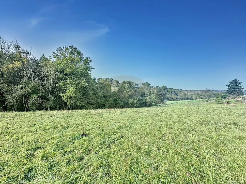 Vente Terrain Terrain constructible Lanespède