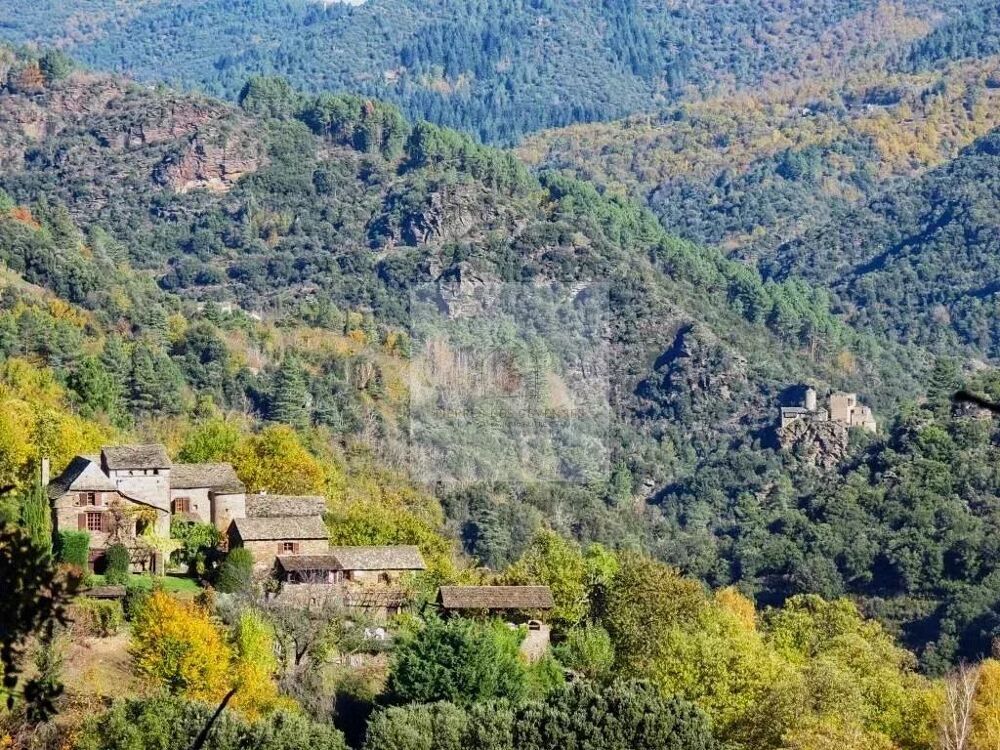  vendre  Maison Saint-Germain-de-Calberte (48370)