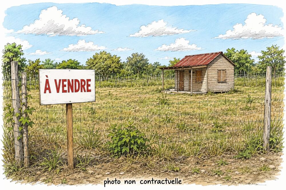 Vente Terrain EXCLUSIVITÉ – TERRAIN CONSTRUCTIBLE À BOIS D'OLIVES Saint-pierre