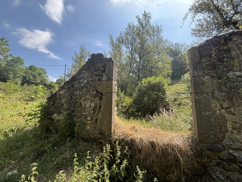 Vente Maison EXCLUSIVITÉ - TERRAIN DE 1 716 M² AVEC DEUX RUINES EN PIERRE Freycenet-la-cuche