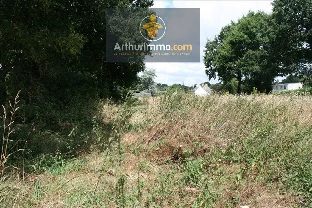 Vente Terrain GUILLAC TERRAIN BOISE 4 000 M² Guillac