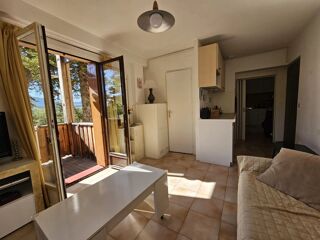  Appartement à louer 1 pièce 20 m²