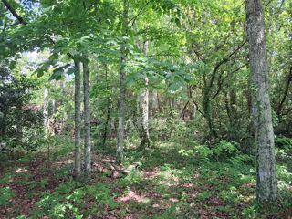  Terrain  vendre 1300 m