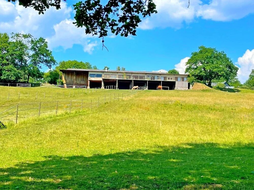 Exclusivité  Bourgogne, Morvan des Lacs  Secteur DUN-LES-PLACE