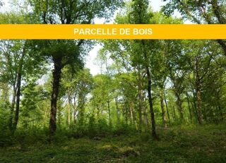  Terrain à vendre 12200 m²