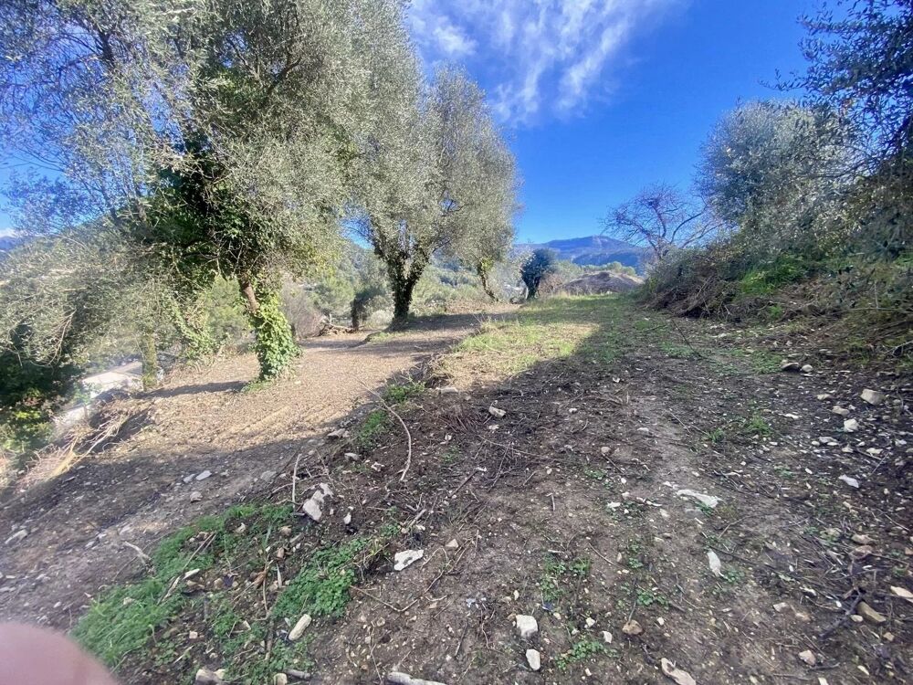 Vente Terrain Terrain Drap