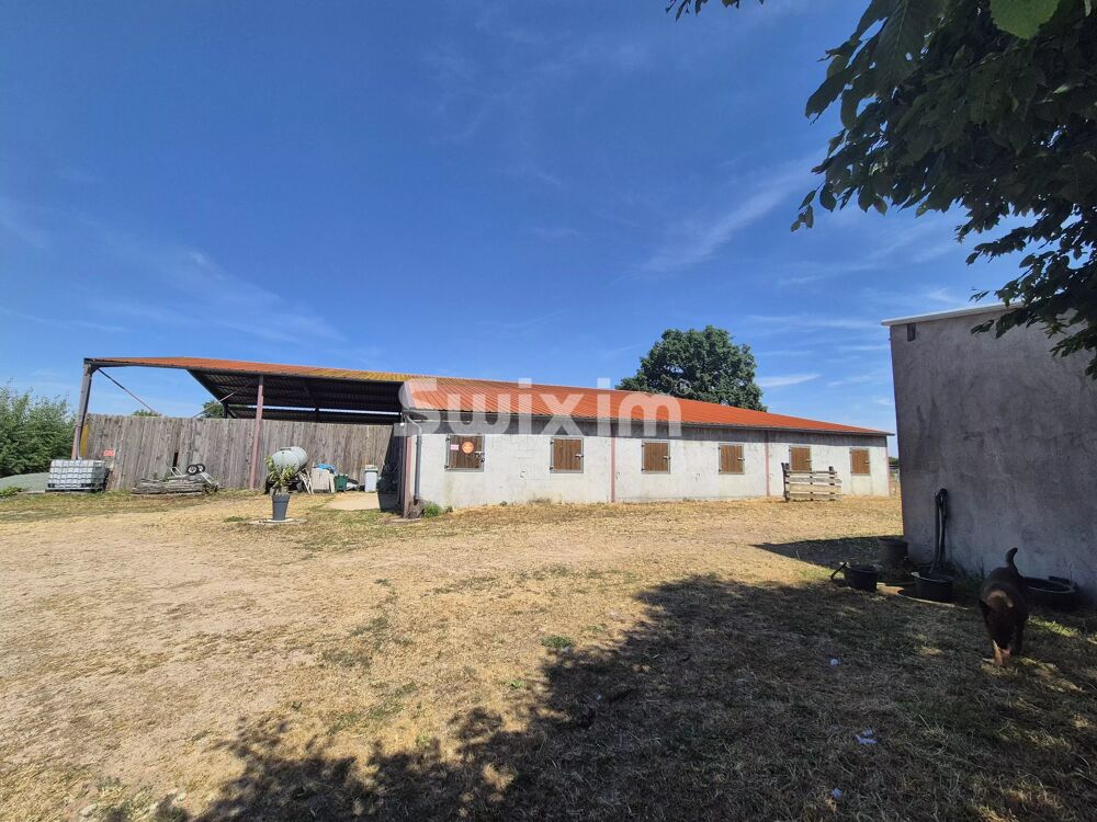 Vente Maison Propriété équestre  à Crux-la-Ville Crux-la-ville