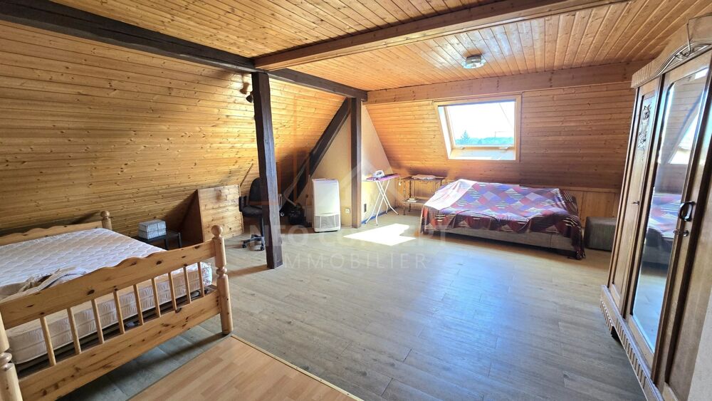 Location Appartement -- Charmant F1 à Lauterbourg -- Lauterbourg