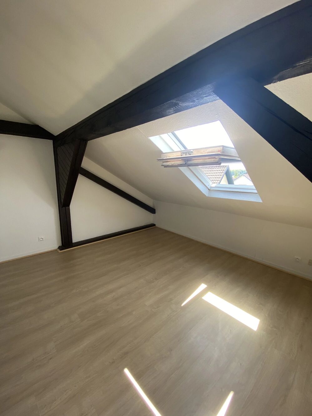 Location Appartement A LOUER - T2 de 26.98m² - ILLKIRCH Illkirch-graffenstaden