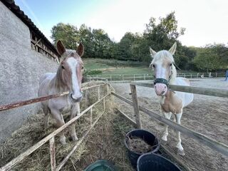  Maison � vendre 10 pi�ces 300 m�