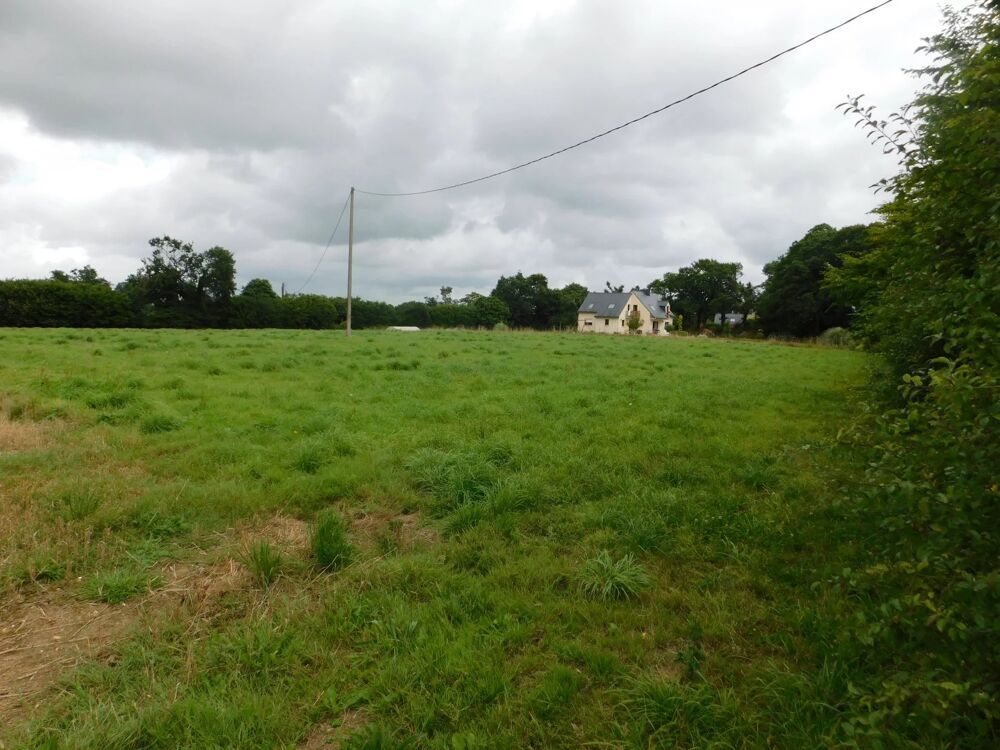 Vente Terrain TERRAIN CONSTRUCTIBLE Trébrivan