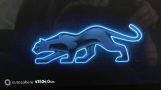 Puma 1.0 EcoBoost Hybrid 125ch ST-Line S&S 2025 occasion 62231 Coquelles