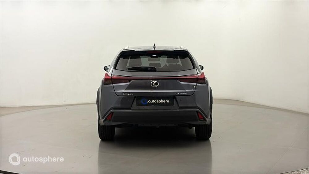 UX 250h Luxe 2WD 2023 occasion 78240 CHAMBOURCY