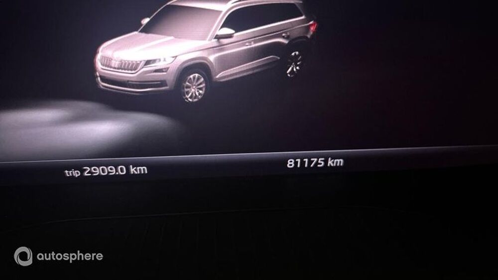 Kodiaq 2.0 TDI 150ch SCR Sportline DSG7 7 places 2021 occasion 44000 Nantes