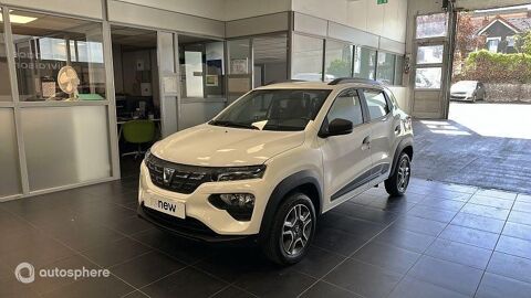 Dacia spring Business 2020 - Achat Intégral