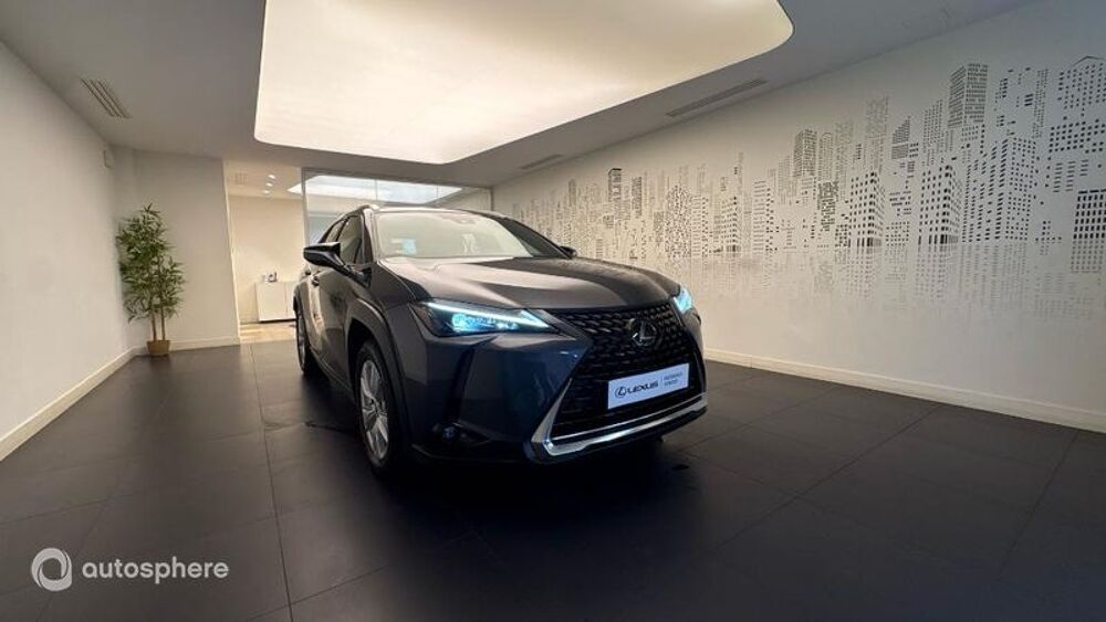 UX 250h Pack Business Plus 2WD 2023 occasion 78240 CHAMBOURCY