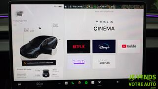Model 3 Phase 2 Performance AWD 460 cv TVA AUTOPILOT 2025 occasion 77540 Rozay-en-Brie