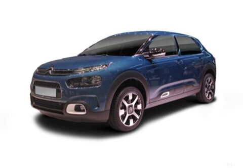 Citron C4 cactus  2019