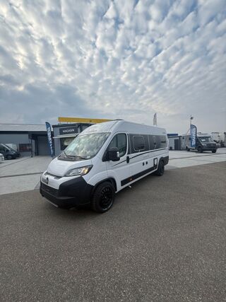  2026 occasion 67640 Fegersheim