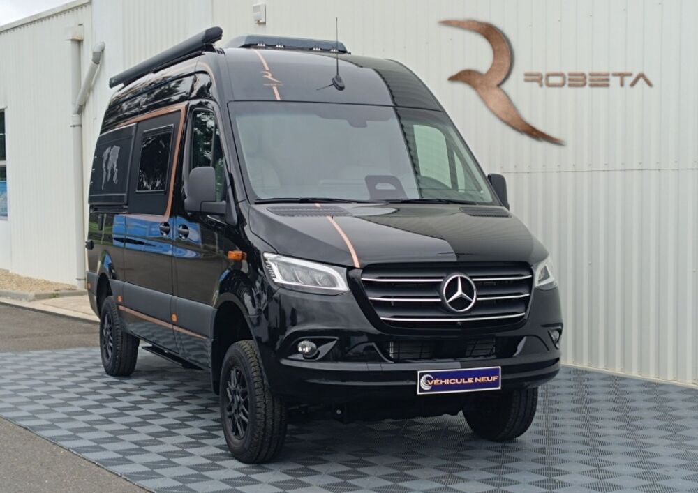  2025 occasion 16700 Ruffec