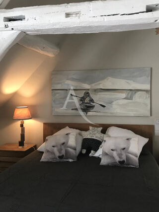  Maison � vendre 15 + pi�ces 335 m�