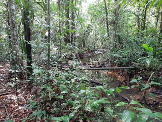  Terrain � vendre 16600 m�