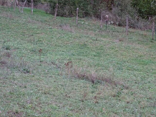  Terrain � vendre 700 m�