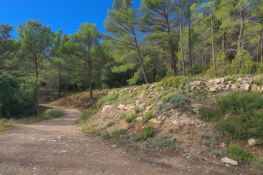 Vente Terrain Terrain en zone naturelle Solliès-Toucas 30000 m² Sollies toucas
