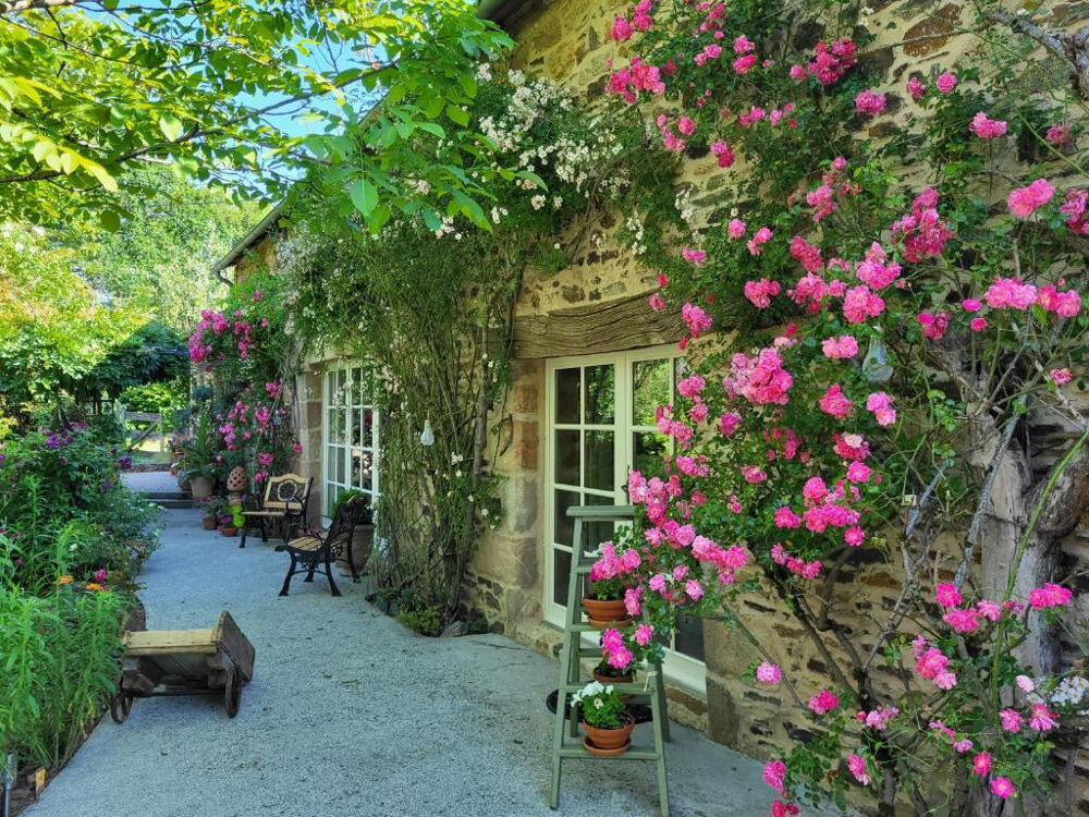 CORRÈZE. CHAMBOULIVE. Maison en pierre avec 6 chambres, piscine, 2 garages, abri voiture, entourée de jardins de 5 498 m²