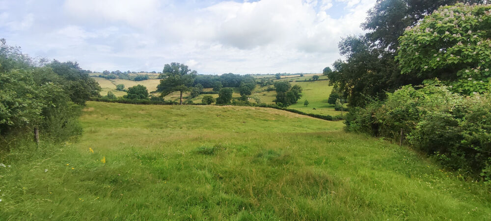 Vente Terrain PROCHE LE  BREUIL -TERRAIN CONSTRUCTIBLE Essertenne