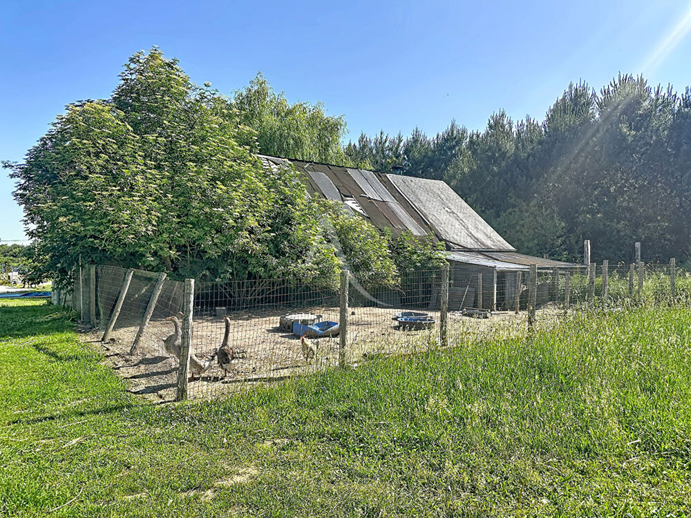 Maison ancienne à réhabiliter à Longué Jumelles