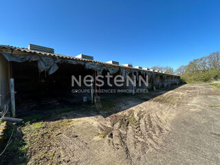  Remise / Grange à vendre 1000 m²