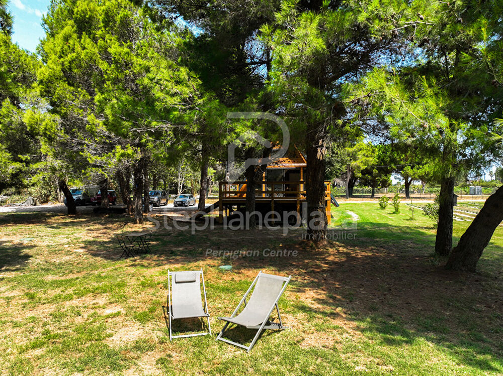 à vendre  Maison Saint-Cyprien (66750)