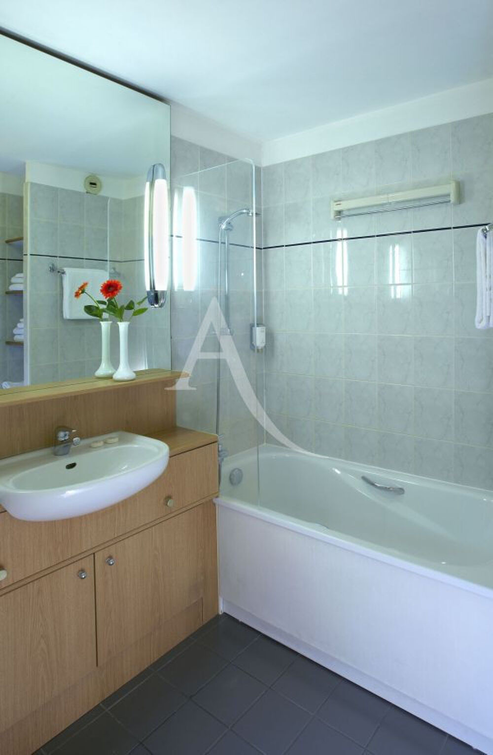 Vente Appartement A VENDRE POUR INVESTISSEMENT LMNP EN RESIDENCE TOURISME ET AFFAIRES: Appartement studio de 24.80 m2 + balcon Paris 11