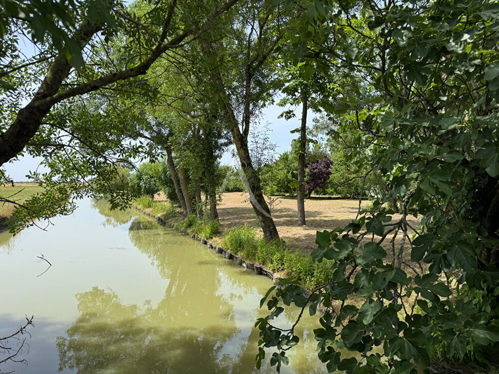Vente Maison Authentique corps de ferme en pierres  - Plus de 11 hectares  - Un havre de paix aux portes de La Rochelle Puyravault